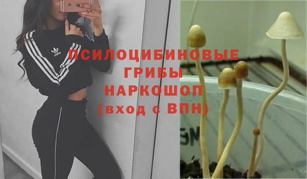 сатива Алексеевка