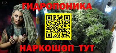 прущие грибы Кимры