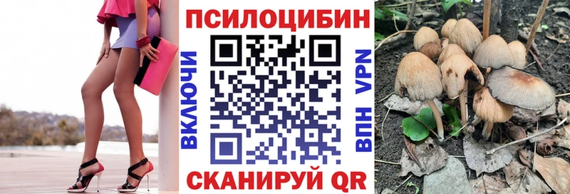как найти наркотики  Миасс  Псилоцибиновые грибы MAGIC MUSHROOMS 